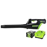 Greenworks Pro 80V Cordless Brushless Axial Blower, 2.0Ah Battery and Rapid Charger Included