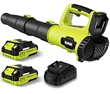 Leaf Blower, 21V Cordless Electric Blower with 2 2.0Ah Batteries and 1 Hour Fast Charger,...