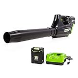 Greenworks Pro 80V (125 MPH / 500 CFM) Cordless Axial Leaf Blower, 2.0Ah Battery and Charger...