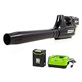 Greenworks 80V (125 MPH / 500 CFM / 75+ Compatible Tools) Cordless Axial Leaf Blower, 2.0Ah Battery...