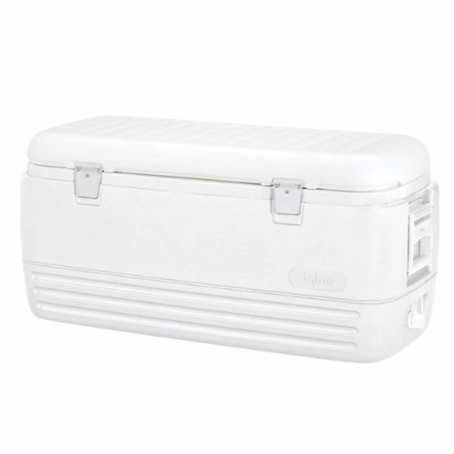 igloo polar